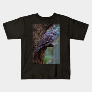 Tawny Frogmouth 2 Kids T-Shirt